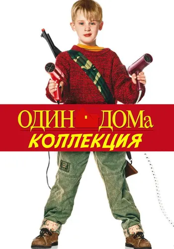Один дома — постер